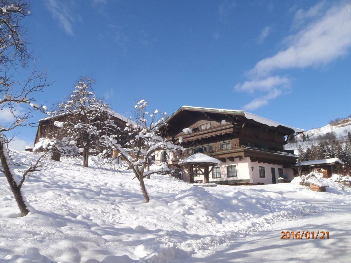 Pension Schachernhof Mittersill Extérieur photo