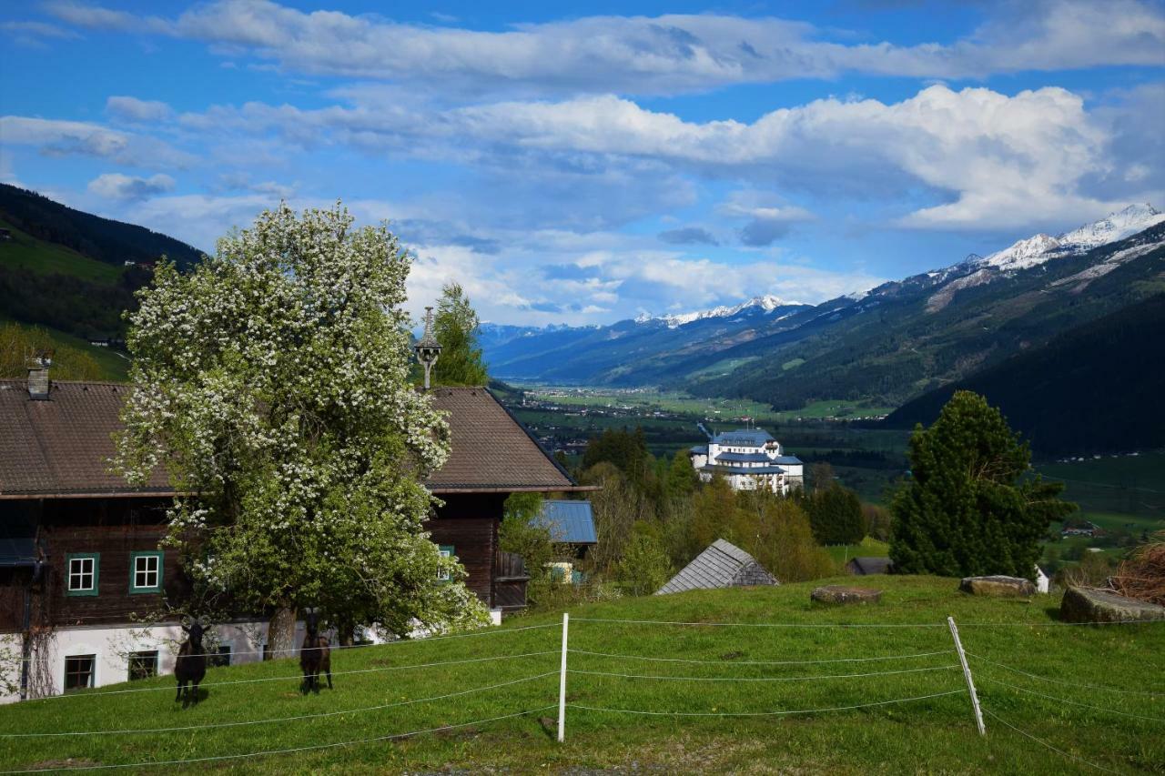 Pension Schachernhof Mittersill Extérieur photo